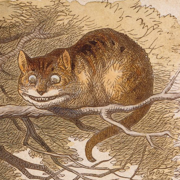 Illustration of Cheshire Cat