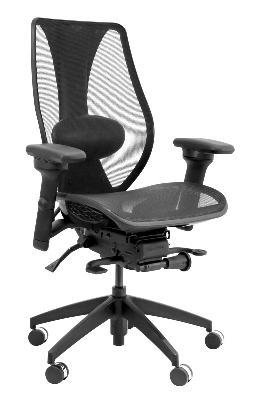 Woolverton Ergonomic Task Chair